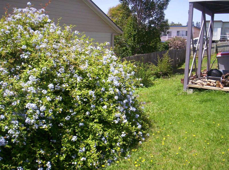 100_3084 (Medium).JPG