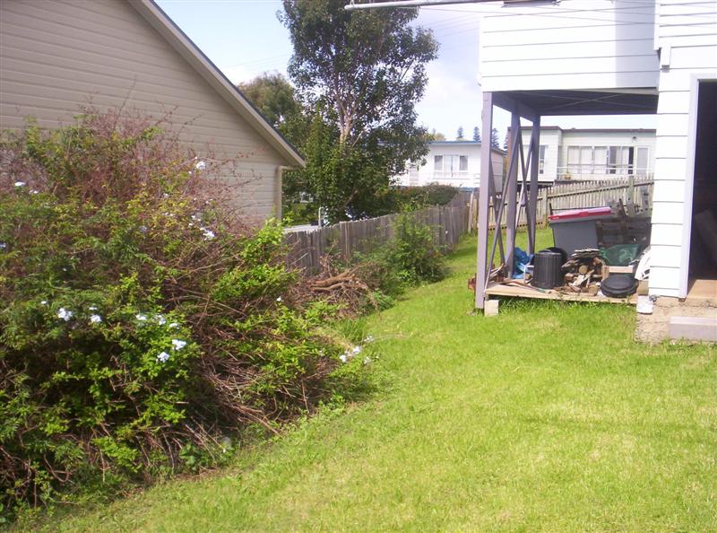 104_3148 (Medium).JPG