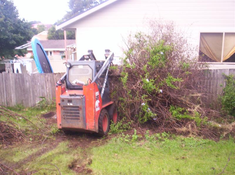 104_3150 (Medium).JPG