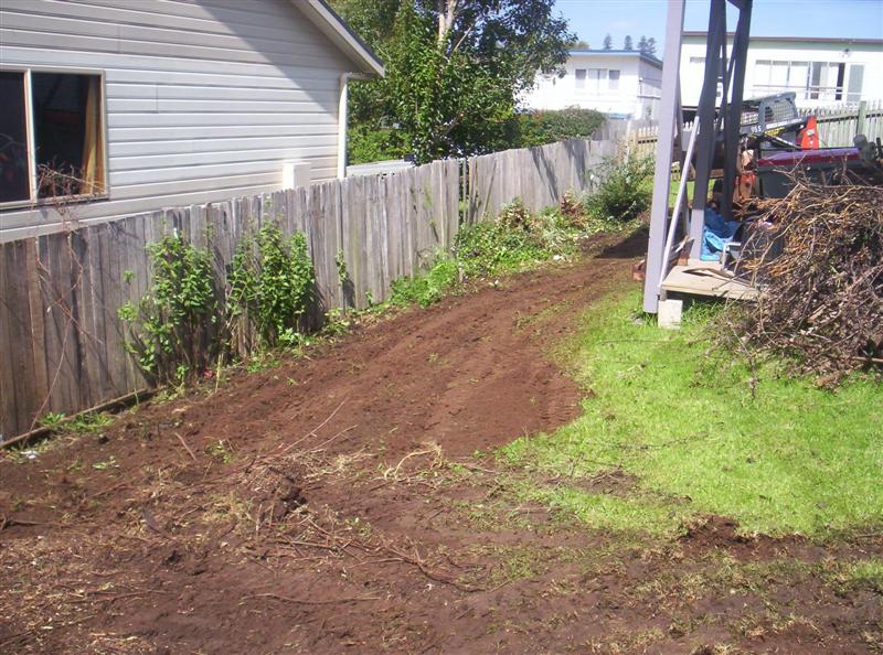 104_3151 (Medium).JPG