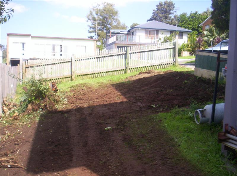 104_3153 (Medium).JPG