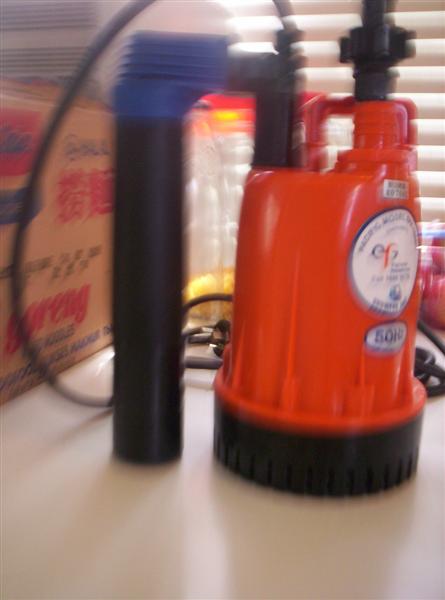 100_2591 (Medium).JPG