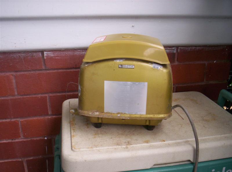 100_2889 (Medium).JPG