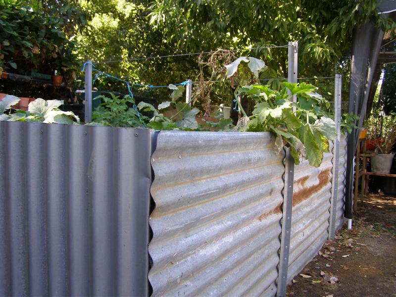 P3300006 (Medium).JPG