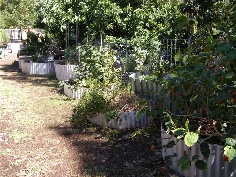 P3300005 (Medium).JPG