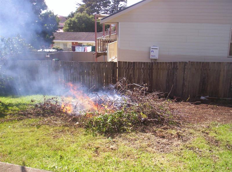 100_3156 (Medium).JPG