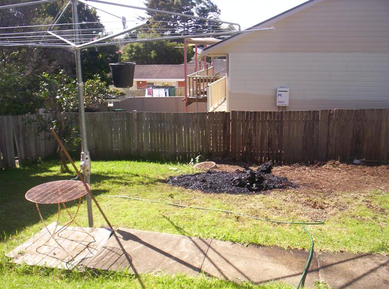 100_3157 (Medium).JPG