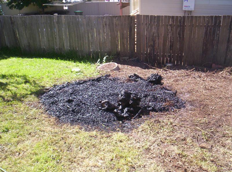 100_3158 (Medium).JPG