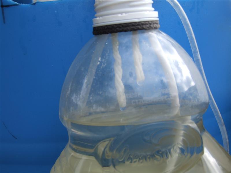 wick drip (Medium).JPG