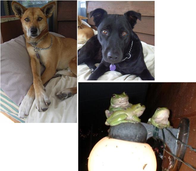 the usual suspects.jpg