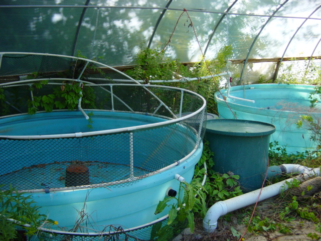 Greenhouse 2006 001.jpg