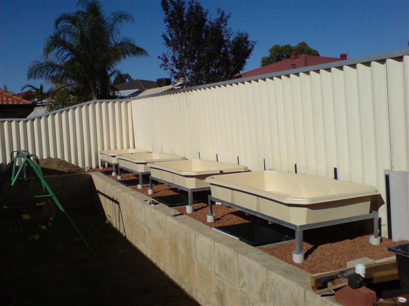 DSC00041 (Medium).JPG