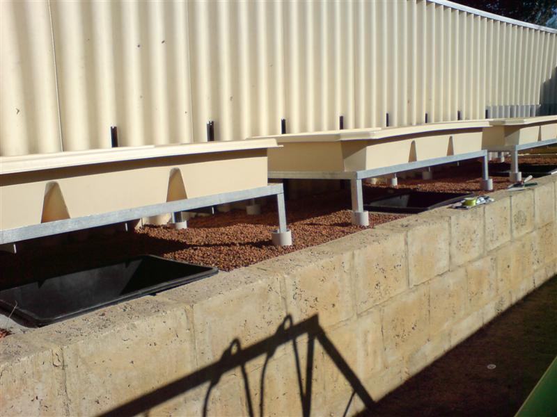 DSC00042 (Medium).JPG