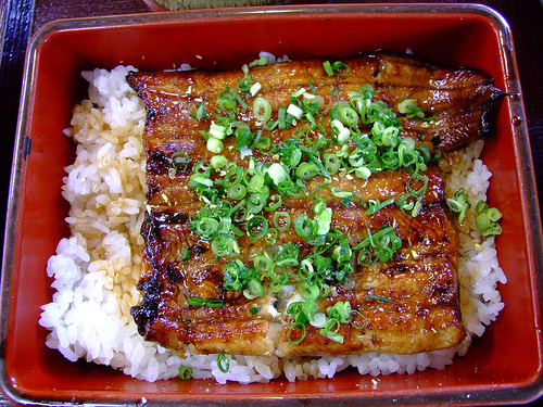 unagi.jpg