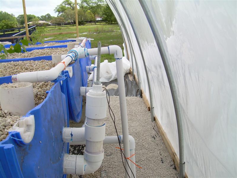 DSCN0784 (Medium).JPG