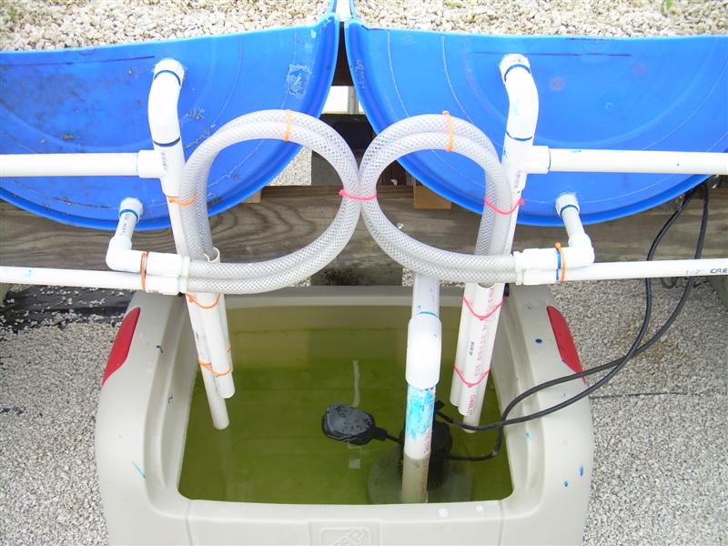 DSCN0783 (Medium).JPG