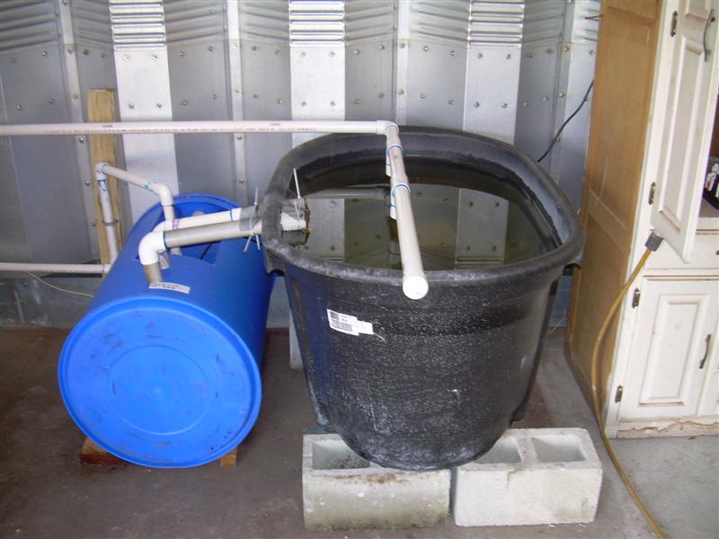 DSCN0786 (Medium).JPG