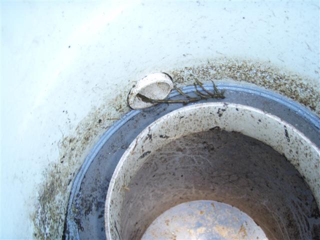 P4100267 (Small).JPG