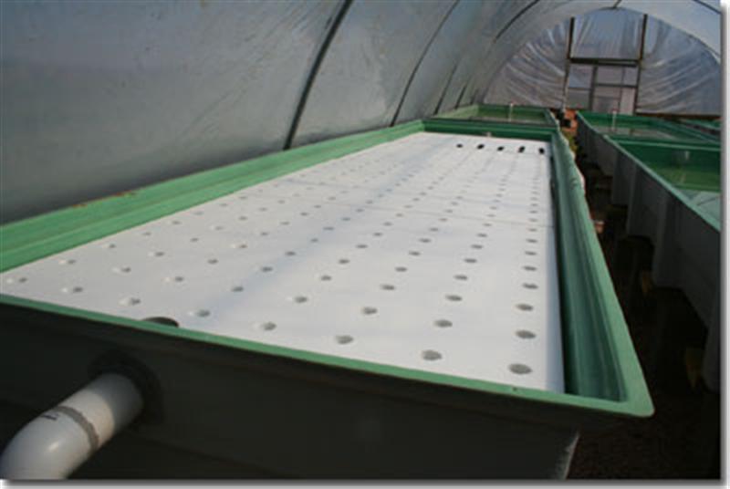 floating-raft (Medium).jpg