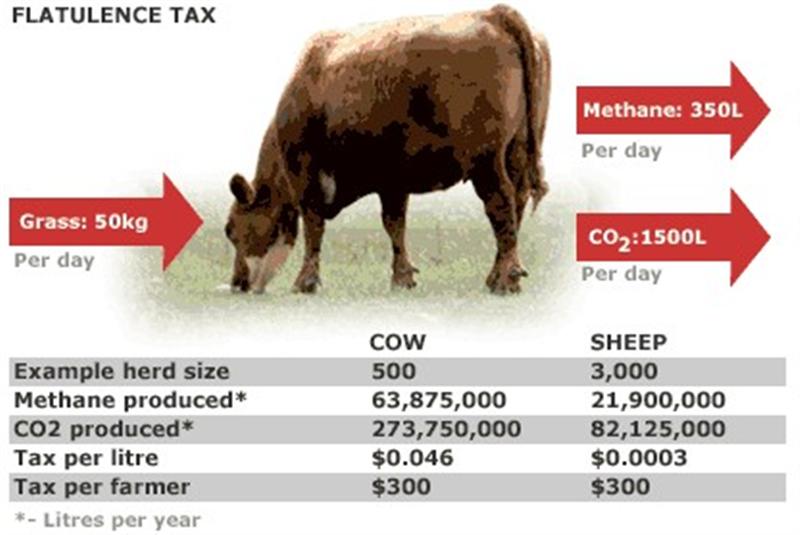 cow_flatulence_tax (Medium).jpg