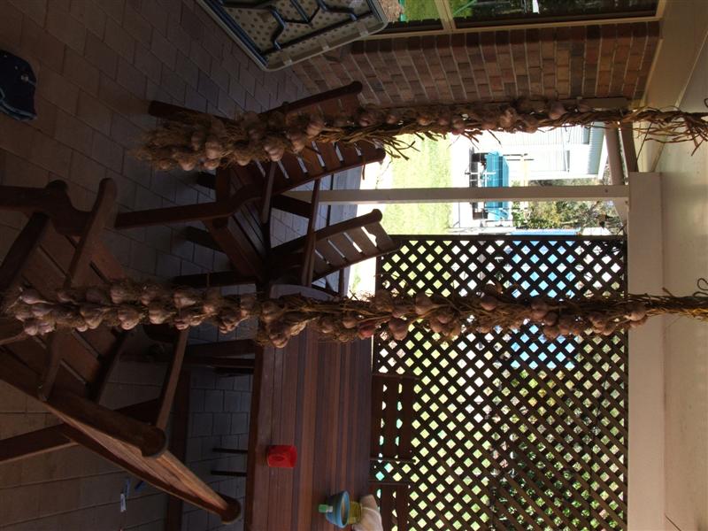 DSCF2954 (Medium).JPG