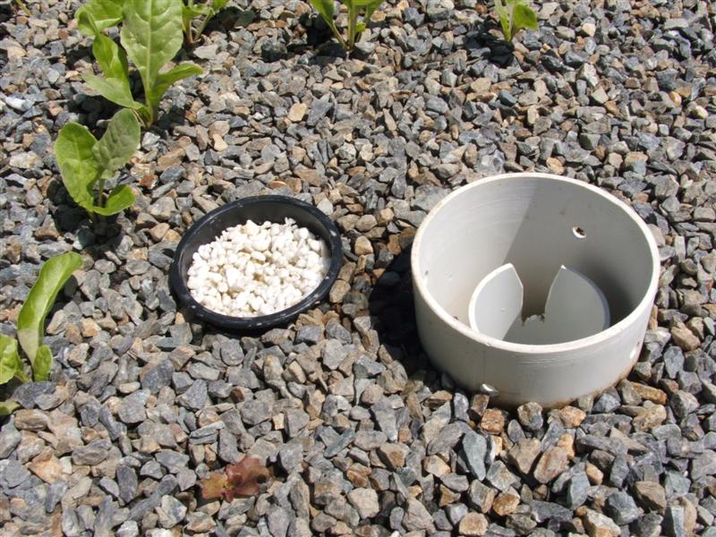 DSCF2799 (Medium).JPG