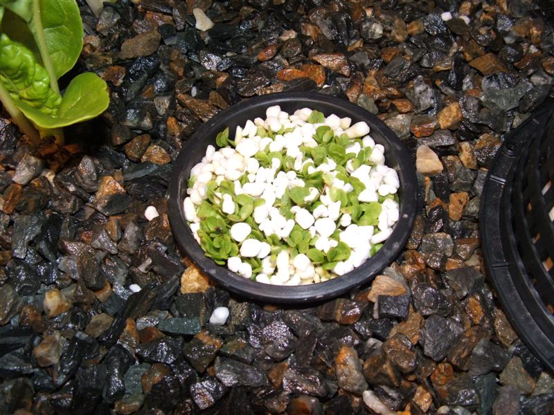 DSCF2879 (Medium).JPG