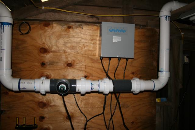 IMG_1231 (Small).JPG