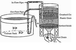http---aquanic.org-publicat-state-hi-LowCostBiofilters.pdf - Adobe Reader.JPG