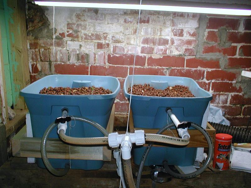 Aquaponics 2008-04-27 001.JPG