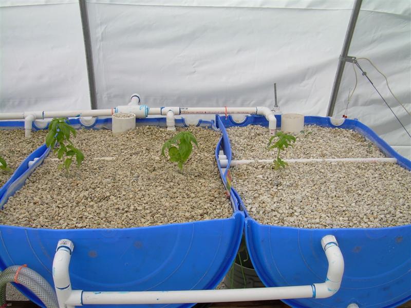 DSCN0795 (Medium).JPG