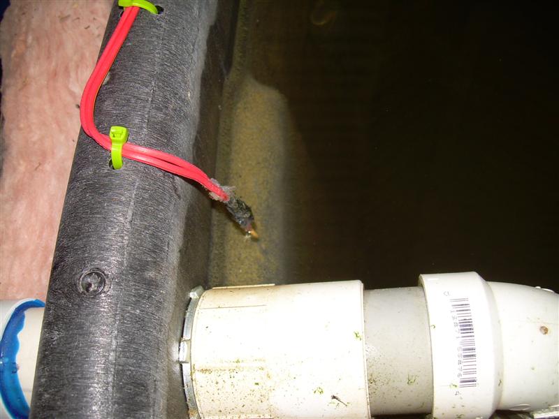 DSCN0802 (Medium).JPG