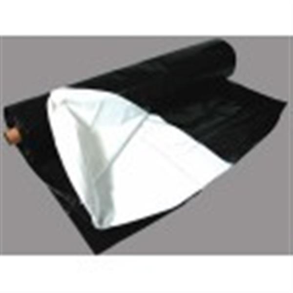 panda_plastic (Medium).jpg