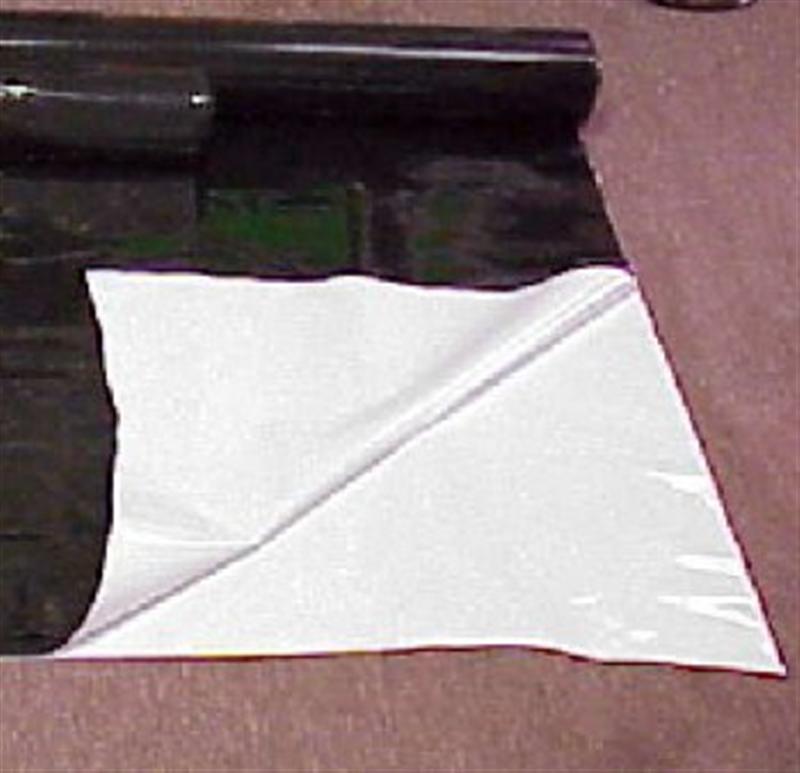 PANDAFILM (Medium).jpg