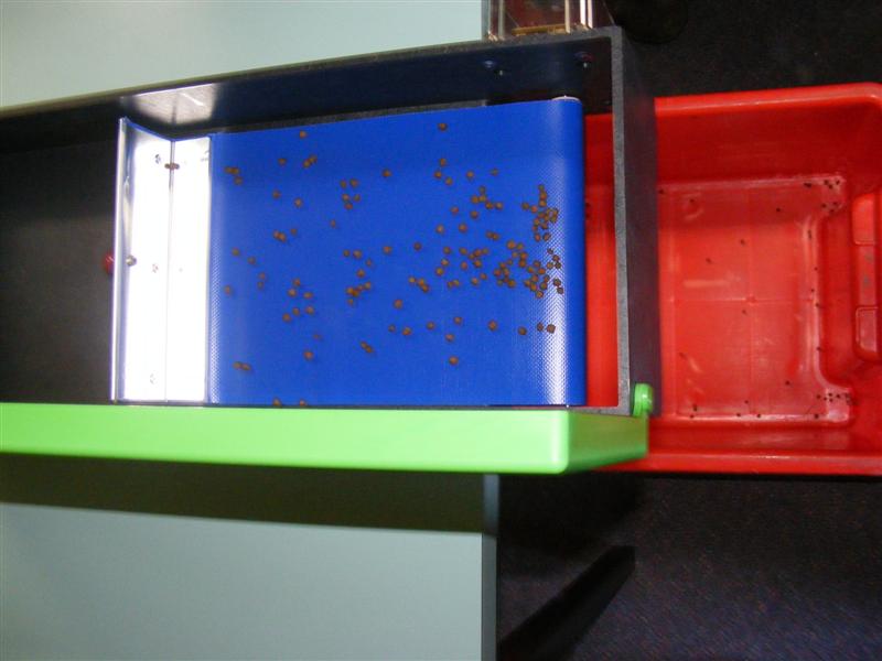 DSCF5183 (Medium).JPG