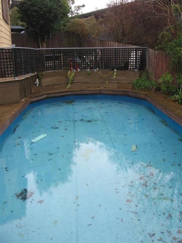 julies pool 005 (Medium).jpg