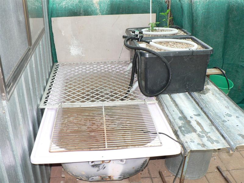 Mini-system #1 004 (Medium).jpg