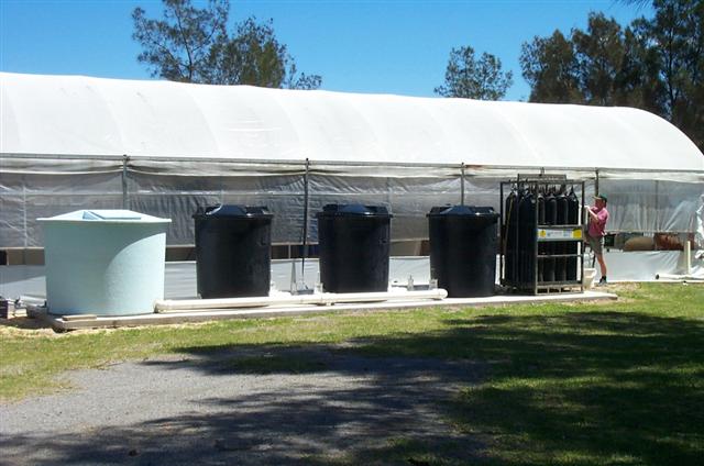 Biofiltration system (Small).JPG