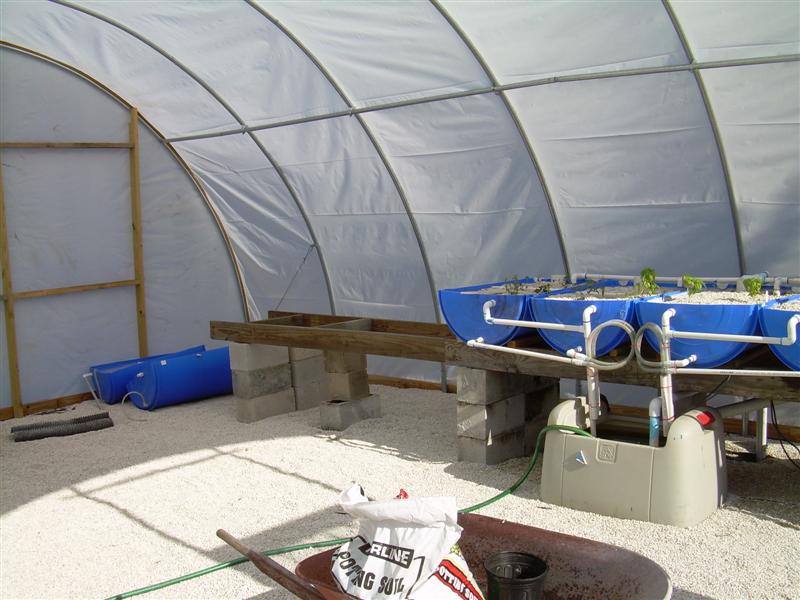 DSCN0810 (Medium).JPG