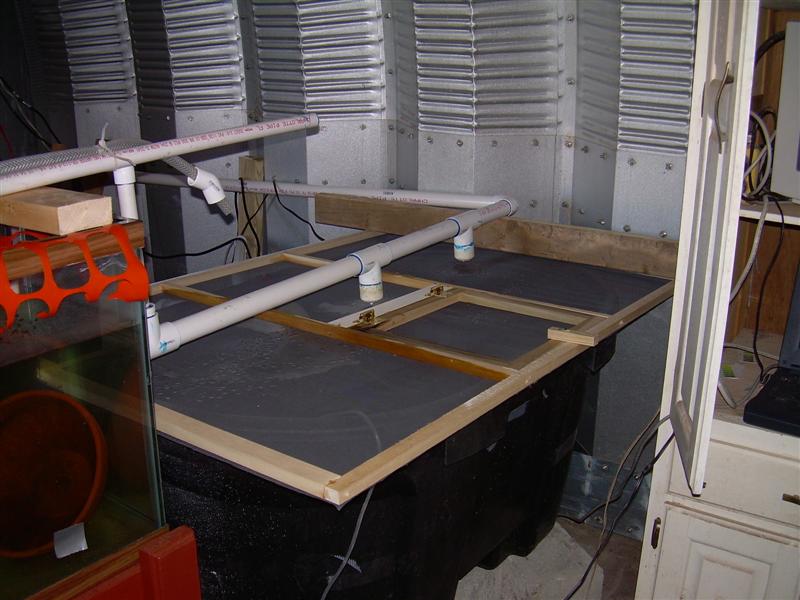 DSCN0809 (Medium).JPG