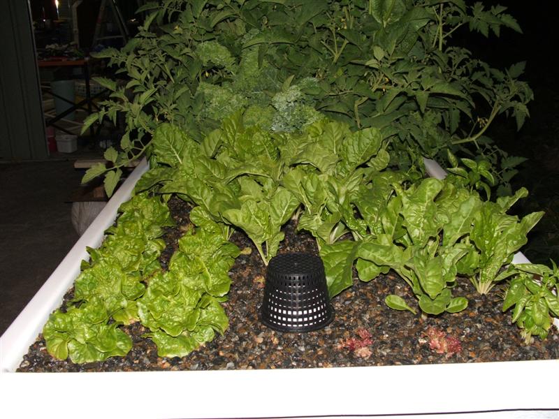 DSCF2986 (Medium).JPG