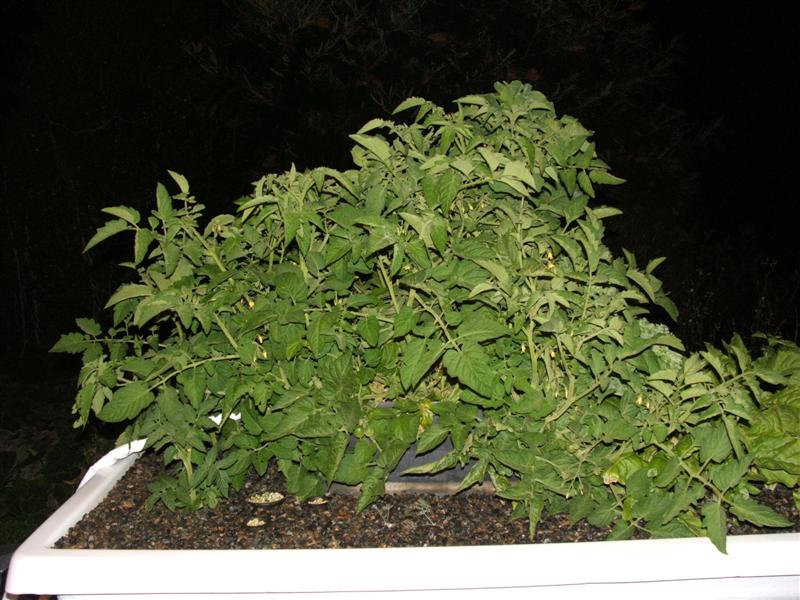 DSCF2984 (Medium).JPG