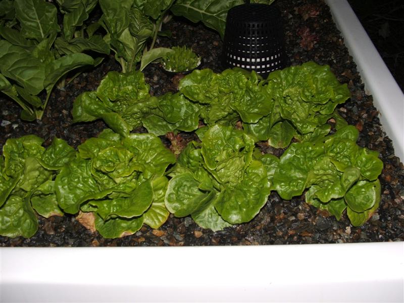 DSCF2996 (Medium).JPG