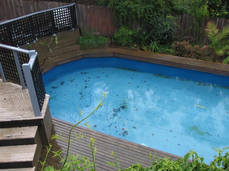 julies pool 003 (Medium).jpg
