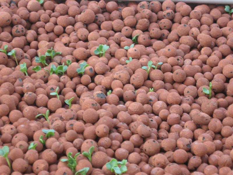 integrity of tank 019 (Medium).jpg