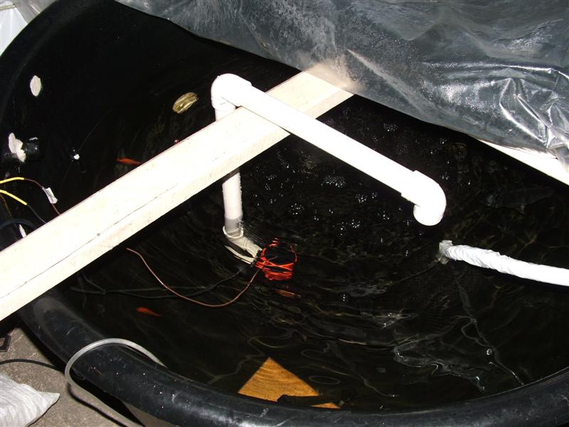 DSCF3007 (Medium).JPG