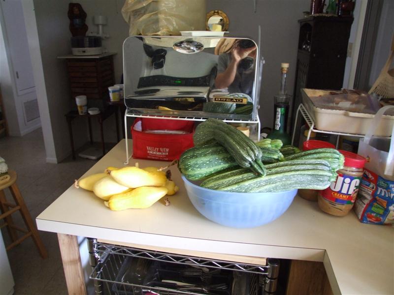 harvest May 7 (Medium).JPG