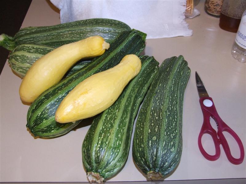 Harvest May 4 (Medium).JPG