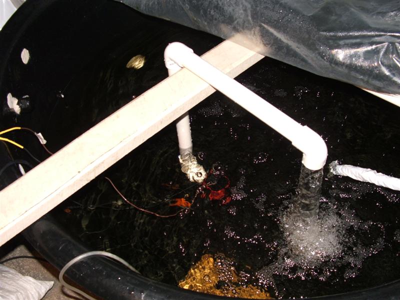 DSCF3003 (Medium).JPG