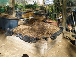 new potatoe bed 058.jpg